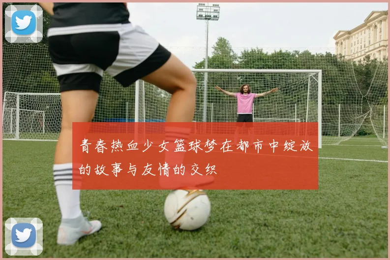 青春热血少女篮球梦在都市中绽放的故事与友情的交织