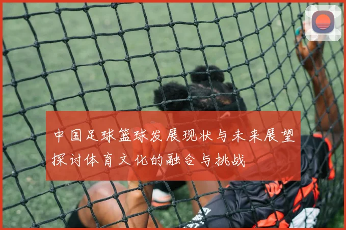 中国足球篮球发展现状与未来展望探讨体育文化的融合与挑战