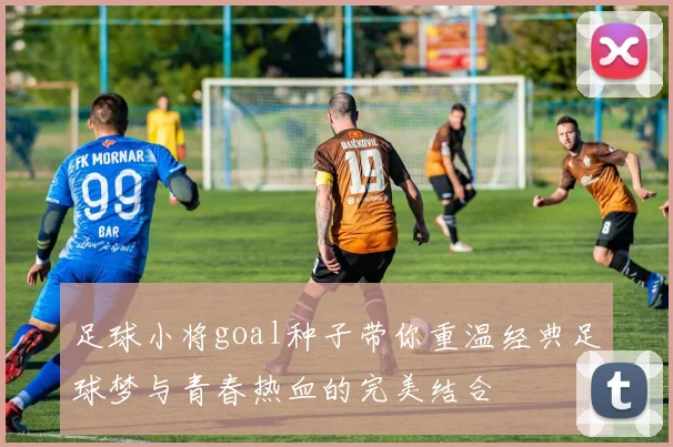 足球小将goal种子带你重温经典足球梦与青春热血的完美结合