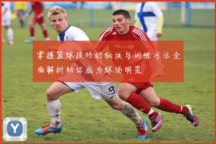 掌握篮球技巧的秘诀与训练方法全面解析助你成为球场明星