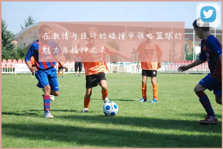 在激情与技巧的碰撞中领略篮球的魅力与精神之美