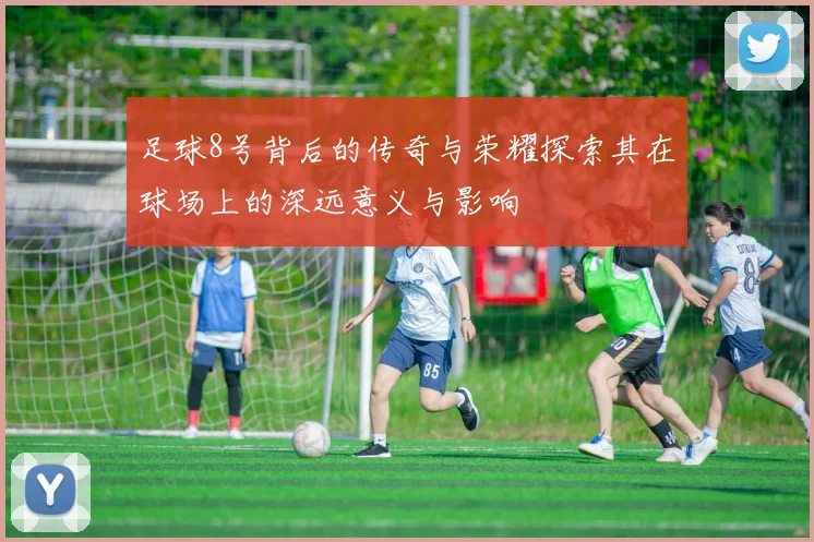 足球8号背后的传奇与荣耀探索其在球场上的深远意义与影响