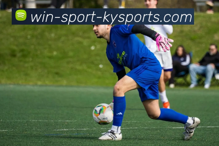 开云体育APP 高清赛事图